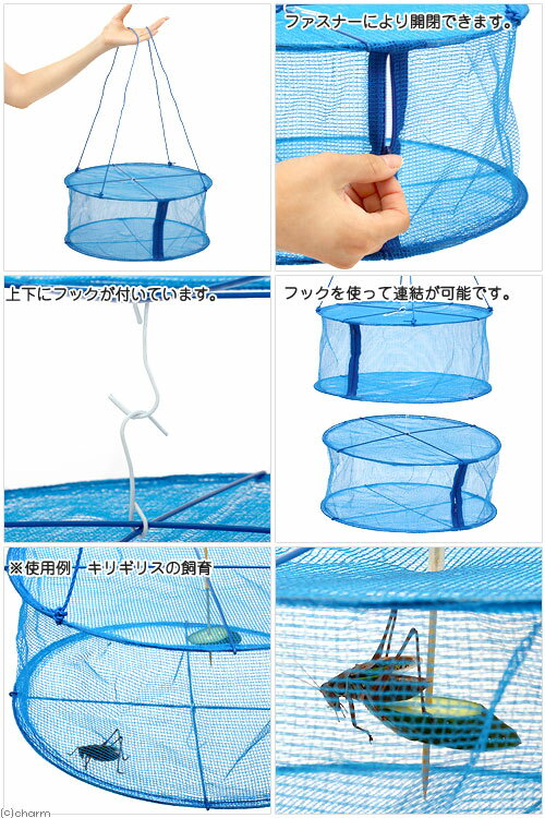 �ߤ겼�����ͥåȥ��������������ν�������������