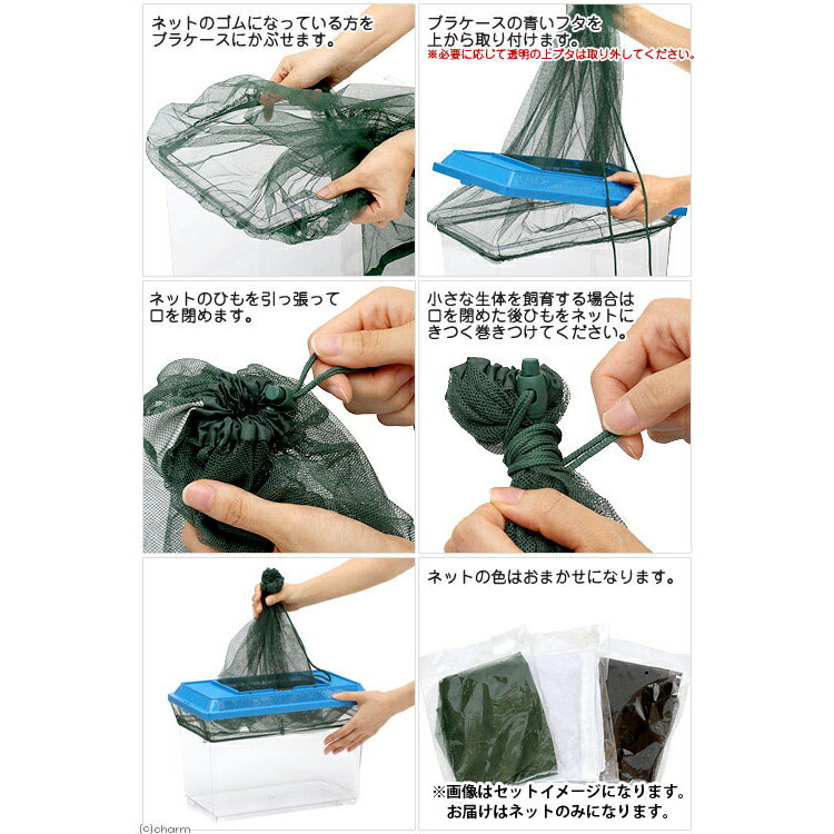 ���ꥢ�ͥåȥ������ѡ��ͥåȡ�����������