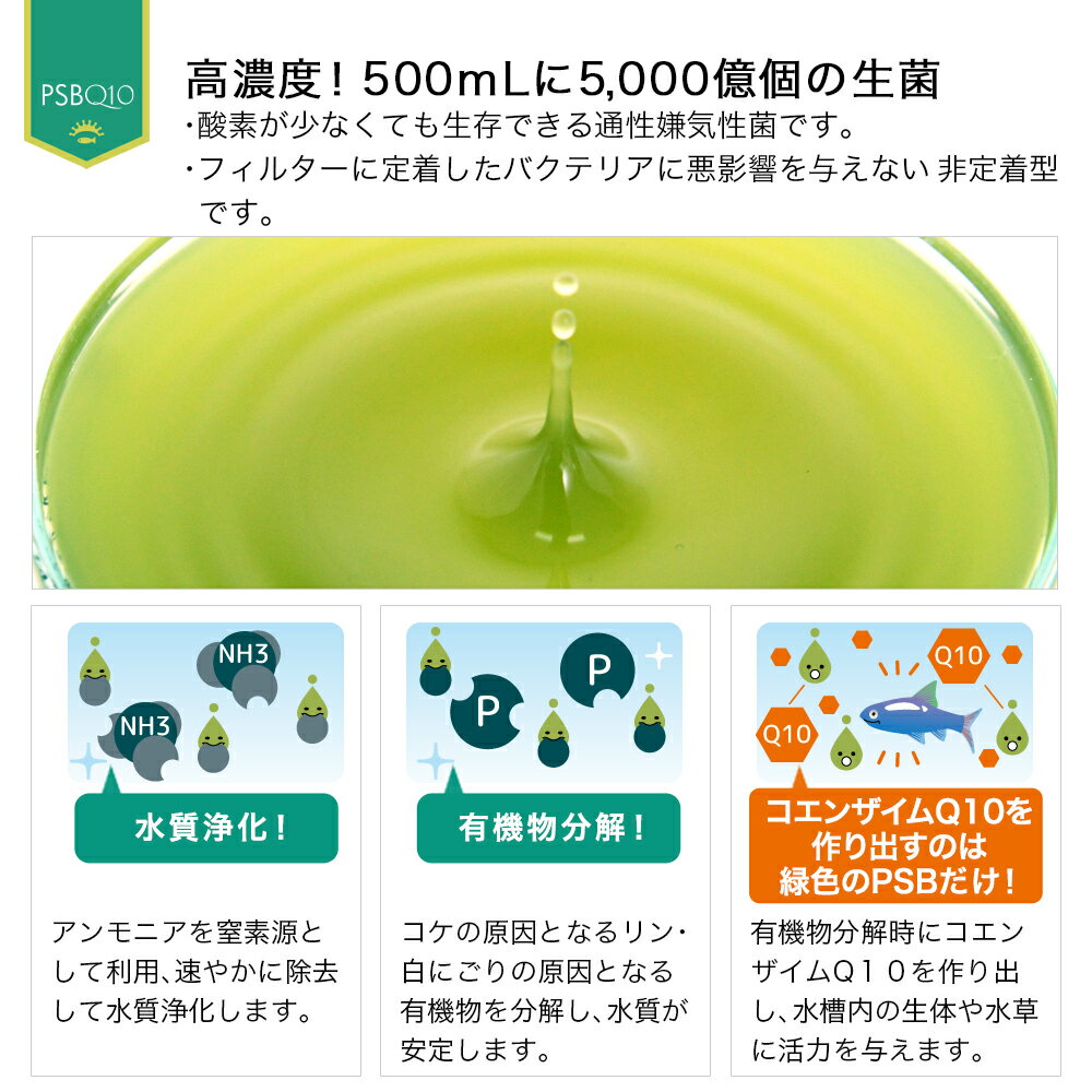 公式ストア Ｌｅａｆ ＰＳＢ 淡水用 小 熱帯魚 ５個セット ５０ｍｌ 光合成細菌 観賞魚