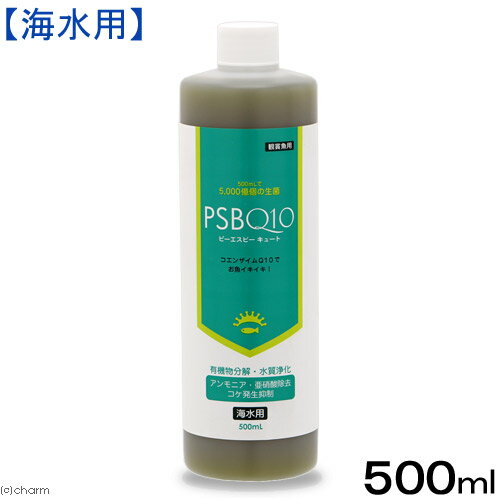 PSBQ10　ピーエスビーキュート　海水用　500mL　光合成細菌　バクテリア　海水魚　サンゴ【HLS_DU】　関東当日便