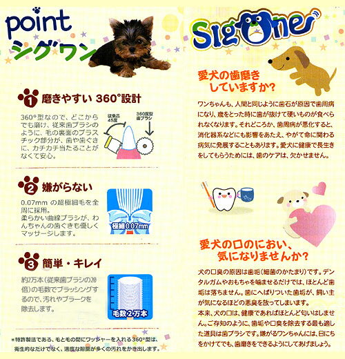 ビバテック　シグワン　超小型犬用歯ブラシ＆ハミガキサプリセット　犬　デンタルケア　関東当日便