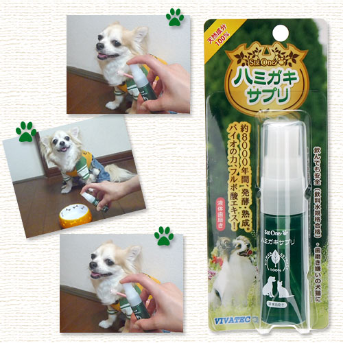 ビバテック　シグワン　超小型犬用歯ブラシ＆ハミガキサプリセット　犬　デンタルケア　関東当日便