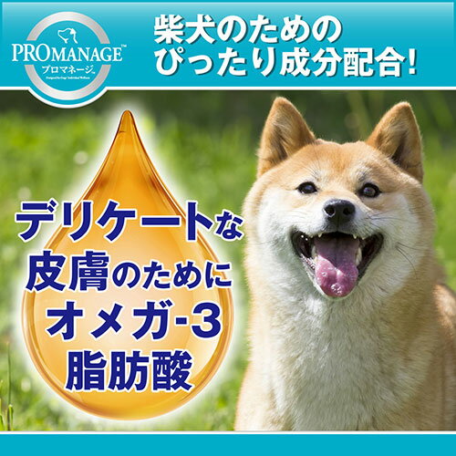 プロマネージ　成犬用　柴犬専用　4kg　ドッグフード　関東当日便