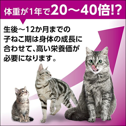 カルカン パウチ とろみ仕立て 12ヶ月までの...の紹介画像2