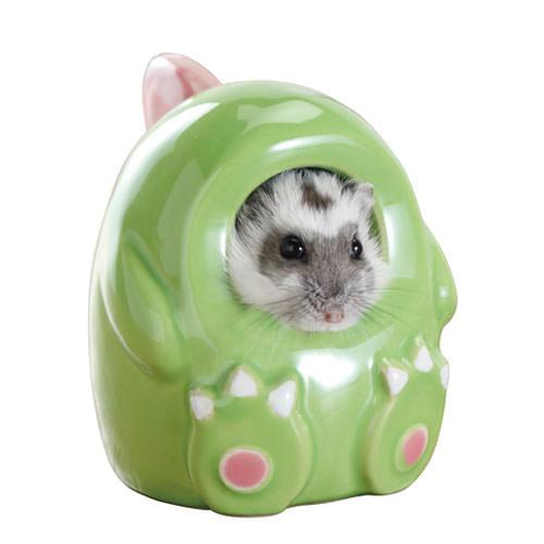 夏場のハムスターはどうする 暑さ対策おすすめグッズをご紹介します My Log ーみぃログー