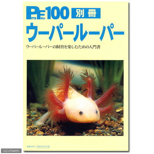 プロファイル100　別冊　ウーパールーパー【関東当日便可能】