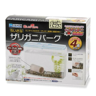 ザリガニの飼い方 知られざる特徴や生態が面白い Fish Paradise ザリガニの飼い方 知られざる特徴や生態が面白い Fish Paradise