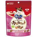 銀のスプーン おいしい顔が見られるおやつ カリカリ シーフード&チキン 60g 関東当日便