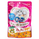 銀のスプーン おいしい顔が見られるおやつ 低カロリー設計 カリカリ シーフード 60g 関東当日便