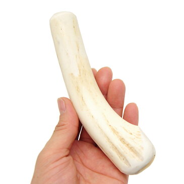 鹿の角 白 Mサイズ 長さ10cm〜15cm前後 1本 小型犬 中型犬 サンドブラスト加工 おもちゃ デンタルケア 関東当日便