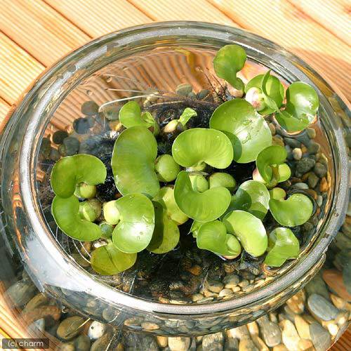 �ʤ�������ĥ�����鿴�ԥե륻�åȡ��ӥ��ȡ�����