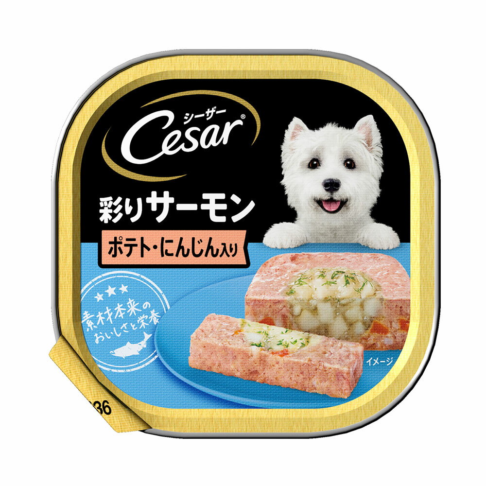 楽天市場】シーザー（大きさ（犬）大型犬）（ドッグフード