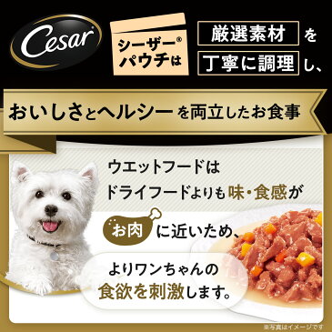 ボール売り シーザーパウチ 成犬用 蒸しささみ 野菜入り 70g 1ボール16袋入り ドッグフード 関東当日便