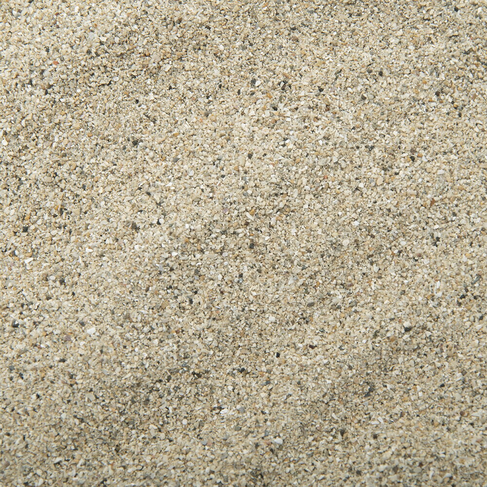 未洗浄 サンゴ砂 パウダー（#0） 9L 海水水槽用底砂