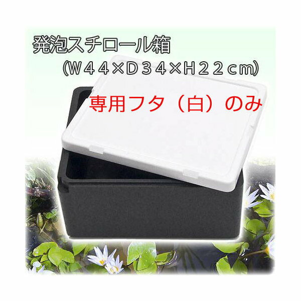 発泡スチロール箱 フタのみ フタ（白）（W44×D34×H3.5cm）