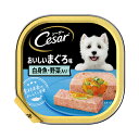 シーザー おいしいまぐろ味 白身魚・野菜入り 100g×8個 ドッグフード シーザー 関東当日便