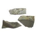 形状お任せ 爬虫類用バスキングスポット 〜ウォーム・プレート〜 Lサイズ(約20〜30cm) 1個 爬虫類 レイアウト素材 関東当日便