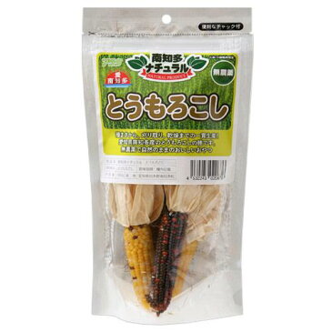 アラタ　南知多ナチュラル　とうもろこし　100g　小動物　小鳥　おやつ　関東当日便