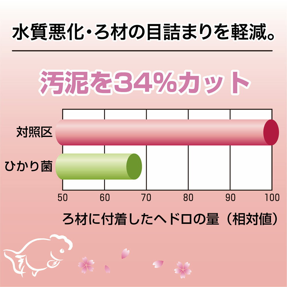 赤　キョーリン 咲ひかり金魚　艶姿　特級色揚　沈下100g　金魚のえさ　関東当日便