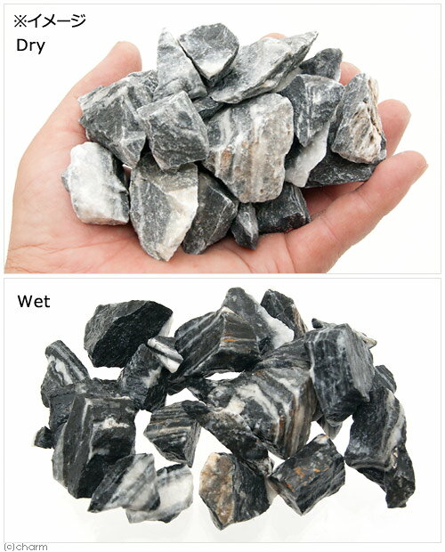 ���ߥϥ����ץ����������С������С�500g���������塡�쥤�����ȡ�����������