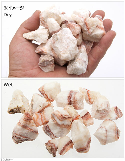 ���ߥϥ����ץ����������С�����С�500g������������