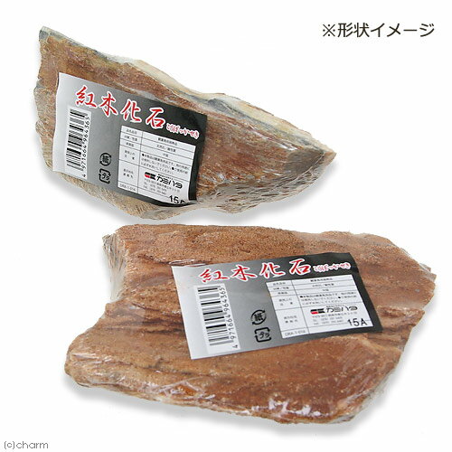 ���ߥϥ����������ꥦ����å������ڲ��С�������Ǥ��������������