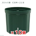 スリット鉢 CSM−210 モスグリーン 10個セット ガーデニング 鉢 お一人様1点限り 関東当日便