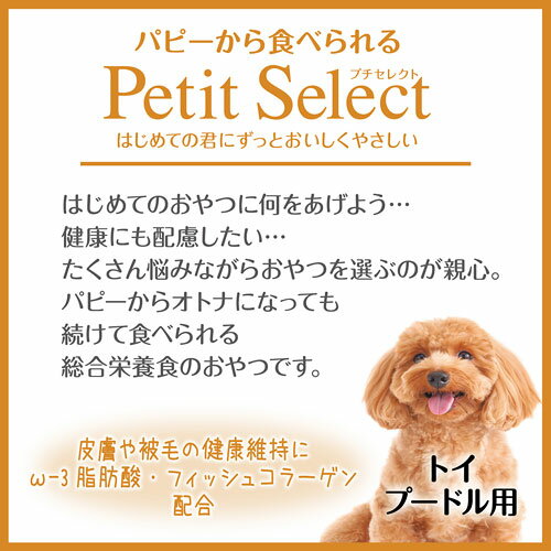 ���ɥᥤ�ȡ��ץ����쥯�ȡ��ȥ����ס��ɥ��ѡ�80g��4�ޡ��񻺡�����������