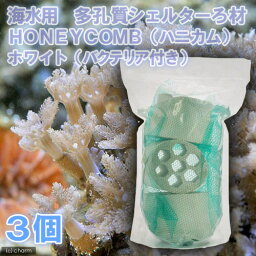 （海水魚）ろ材　海水用　多孔質シェルターろ材　HONEYCOMB（ハニカム）ホワイト（バクテリア付き）（3個）