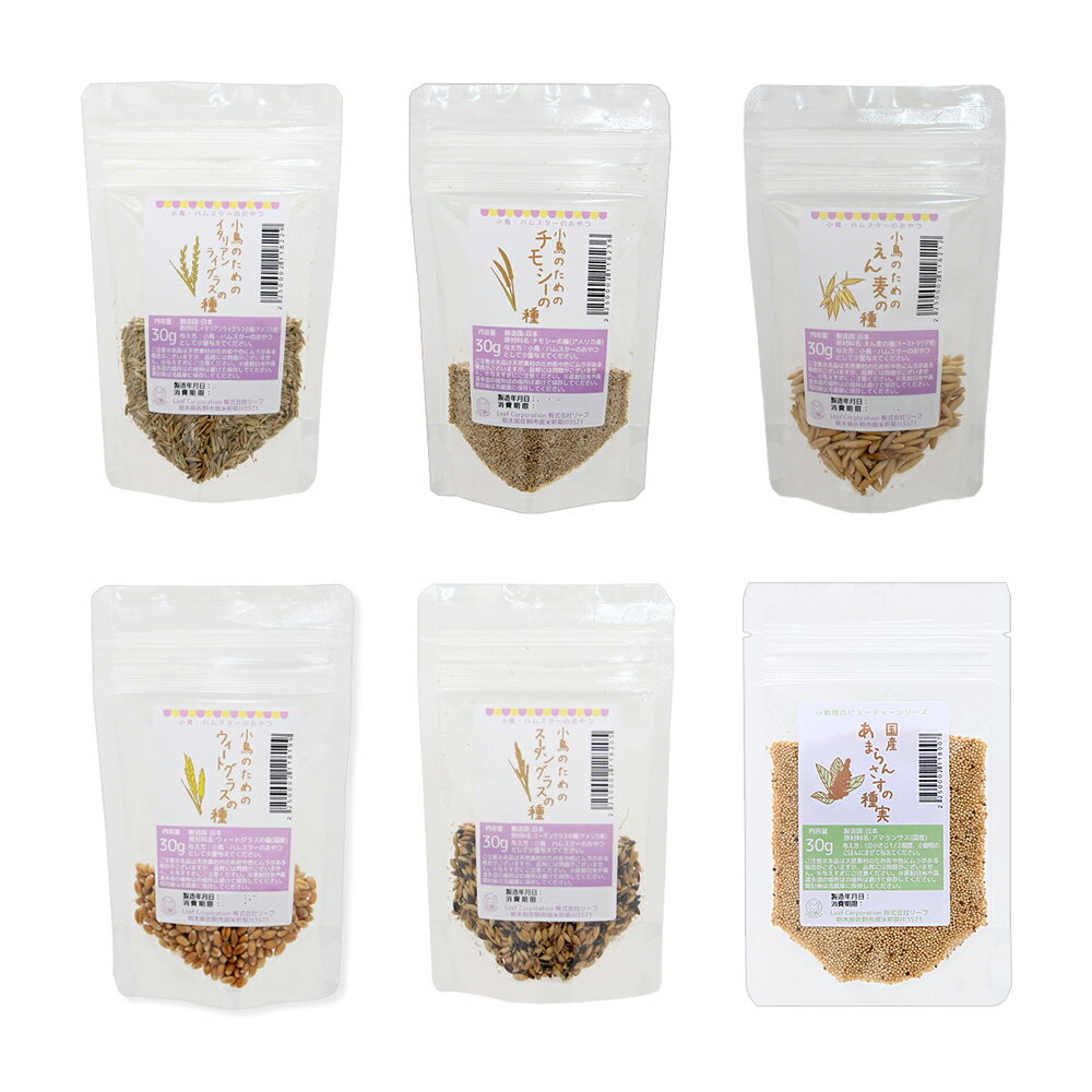 小鳥のための種6種 お試しセット 小動物のおやつ 無添加 無着色 お一人様1点限り 関東当日便