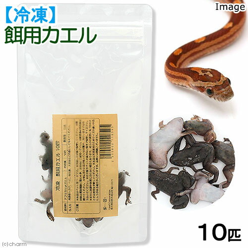 冷凍★冷凍餌用カエル（アフリカツメガエル）　10匹　爬虫類エサ　無添加　無着色　別途クール手数料　常温商品同梱不可