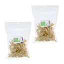 国産 皮なしパパイヤ スライス 100g(50g×2袋セット) 小動物用のおやつ 国産 無添加無着色 うさぎ モルモット 毛球ケア 関東当日便