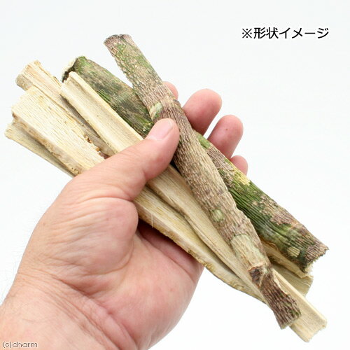 足場木 100g (昆虫用) 転倒防止 パパイ...の紹介画像2