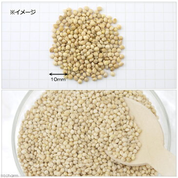 小鳥のための皮付き玄きび　50g　鳥　フード　餌　おやつ　無添加　無着色　関東当日便