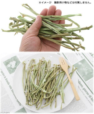 国産 かじってたのしい ブロッコリーの葉の茎 90g 小動物用のおやつ 無添加 無着色【HLS_DU】 関東当日便