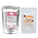 フクロモモンガの食事昆虫食サポート 100g+イースター フクロモモンガセレクション 400g 関東当日便