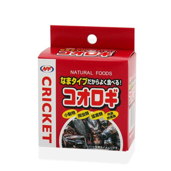 NPF　コオロギ（缶入り）　40g×24箱　プロバグズシルクワーム蛹15gおまけ付き【HLS_DU】　関東当日便