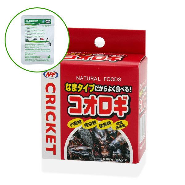 NPF コオロギ（缶入り） 40g 24箱 プロバグズライスワーム15gおまけ付き