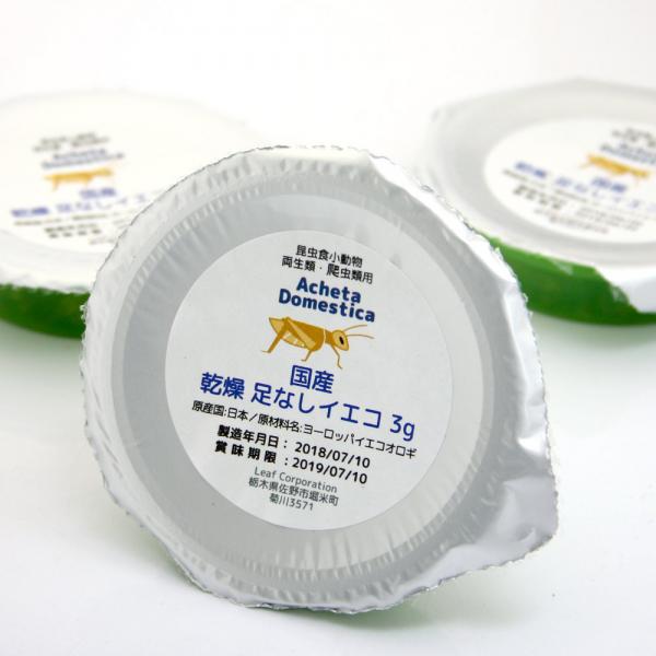 国産 乾燥 足なしイエコ 9g（3g×3）カップタイプ 昆虫食小動物爬虫類用 無添加 無着色