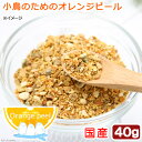 小鳥のためのオレンジピール　40g　インコ　無添加　無着色　関東当日便