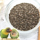 小鳥のためのチアシード　60g　鳥　フード　餌　おやつ　無添加　無着色　関東当日便