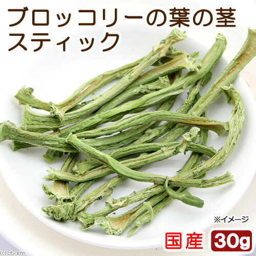 国産　ブロッコリーの葉の茎スティック　30g　小動物のおやつ　無添加　無着色【HLS_DU】　関東当日便