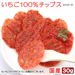 国産 いちご100%チップス 30g 小動物のおやつ 無添加 無着色 関東当日便
