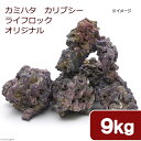 カミハタ　カリブシー　ライフロックオリジナル　9．0kg　人工ライブロック　関東当日便