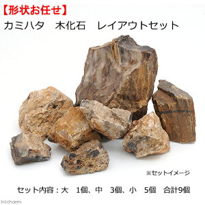 カミハタ　木化石　レイアウトセット　45〜75cm水槽向け　形状おまかせ　関東当日便