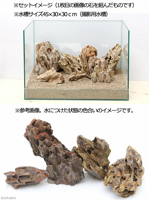 形状お任せ　陽火石　サイズミックス　5kg　45cm水槽向け　アクアリウム　レイアウト素材【HLS_DU】　関東当日便 3