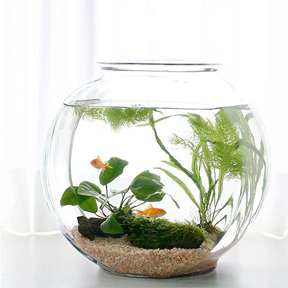幻想的な アクアリウム 金魚を飼育して風情のある空間を 金魚鉢5選 Limia リミア
