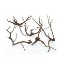 形状お任せ 煮込み済み 極上流木 Mサイズ(約20〜30cm)5本 アクアリウム テラリウム レイアウト素材 関東当日便