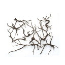 形状お任せ 煮込み済み 極上流木 Mサイズ(約20〜30cm)10本 アクアリウム テラリウム レイアウト素材 関東当日便
