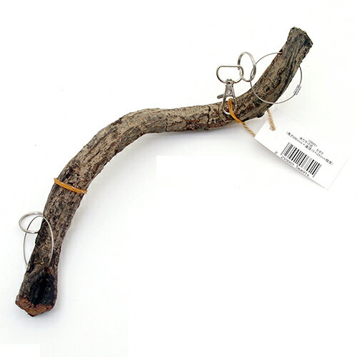 【11/25限定】当選確率2分の1!1等最大100% 天然素材 吊り下げ式 モダマ S30H (長さ300mm 直径15〜25mm程度) スパイラルパーチ